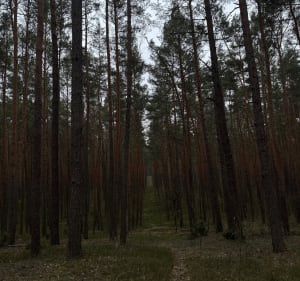 Spacer wśród przyrody wzdłuż granicy - Kuba - 3