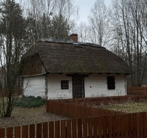 Spacer wśród przyrody wzdłuż granicy - Granica - 2