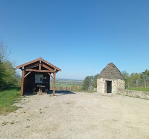 Vignes conservatoire Cramans - Thomas  - 5