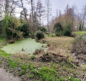 Rando sympa à Azay le Rideau - Azay-le-Rideau - 2