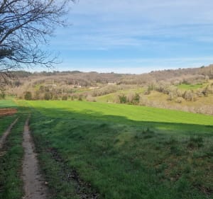 Boucle des Farges - Les Farges - 2