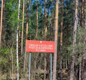 Kampinoski Park Narodowy - Joanna - 2