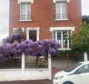 De Rueil à Garches en passant par Arletty - Rueil-Malmaison - 2
