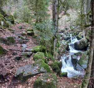 Les perles de Vologne en passant par la Roche du Page - Xonrupt-Longemer - 2