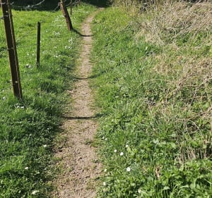Boucle La Comté Beugin - La Comté - 2