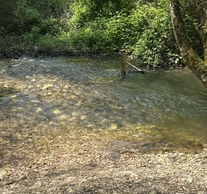 La vallée du Bressour en toute intimité - Soyaux - 2