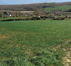 Rivières et forêt à Croisy sur Andelle - Croisy-sur-Andelle - 2