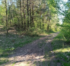 Chęciny i okolice - Ewelina - 2