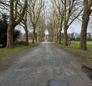 Circuit des fleurs champêtres à Salesches - Salesches - 2