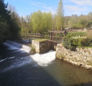 Boucle de Broglie par bois moulin de Prey - Broglie - 2