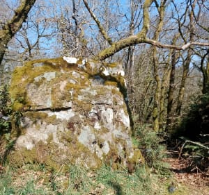 Balade à Plessis Grimoult - Les Monts d'Aunay - 2