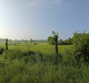 Campagne de Retiers - Fabrice - 3