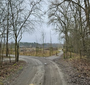 Spacer na kawe przez plaża romantyczna - Warszawa - 2