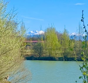 Mazères : de la Bastide au domaine des oiseaux en boucle - Mazères - 2