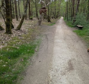 Petit tour de center parc par l'extérieur - Chaumont-sur-Tharonne - 2