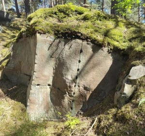 Forêt des 3 Pignons : traversée sur le GR11 - VALERIE - 3