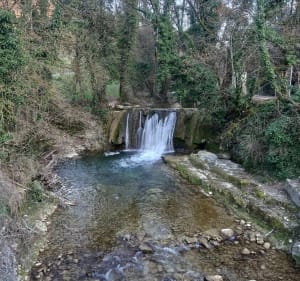 A la découverte de la Brive à Briord. - Briord - 2