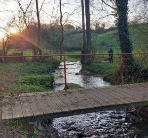 Quand Annie nous emmène en balade à Torigni-sur-Vire - Torigny-les-Villes - 2