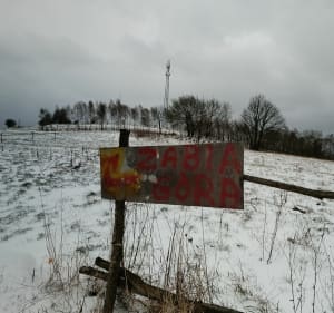 Okolice Iwonicza Zdrój - Iwonicz-Zdrój - 2