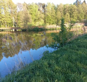 Lisowice ośrodek sportu i rekreacja. - Brzeziny - 2
