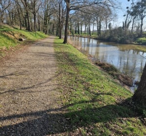 Canal et écluse de Fillé - Fillé - 2