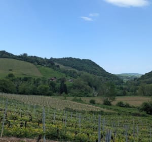 Les belvédères de Cerdon - Cerdon - 2