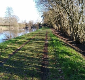 Les chemins de halage de Pont sur Sambre, Bachant et Berlaim - Franck - 4