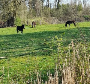 Parcours du cœur à Festubert - Festubert - 2