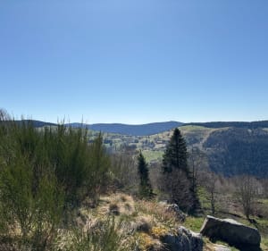 Sentier de la Ragate Labresse - La Bresse - 2