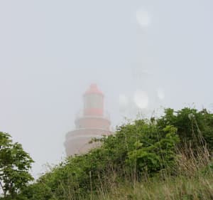 Du bois de Cise à Ault - Ault - 2