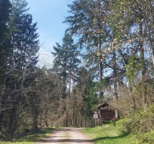 Circuit à pied à Zimmerbach - Zimmerbach - 2