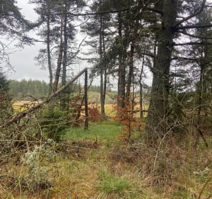 Parcours autour de la Pinatelle depuis Chalinargues - Neussargues en Pinatelle - 2
