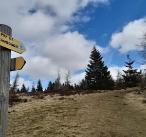 Tour et sommet du Chambourget - Besse-et-Saint-Anastaise - 2