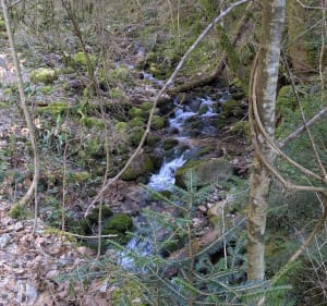 La gorge de la Gorgiat au dessus de Saint-Thibaud-de-Couz - chantal - 2