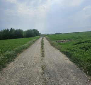 Par le mont et le marais à Lumbres - Lumbres - 2