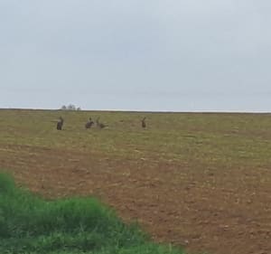 Vers le château de Pernant et Pelle à Four - Pernant - 2