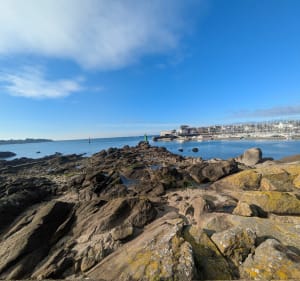 Bois du Porzou et Kerancalvez - Concarneau - 2
