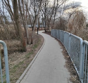 Nad złocieniowymi stawami - Kraków - 2