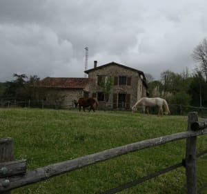 Le long de la Tardoire à Tartou - Bussière-Badil - 2