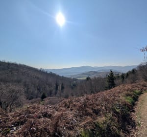 Rando autour du village de Saint-Etienne-la-Varenne - Saint-Étienne-la-Varenne - 2