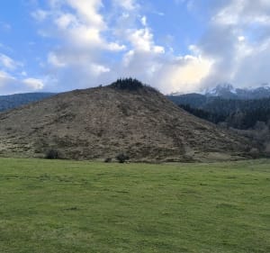 Tour du marais du Roy - Breuil-Magné - 2