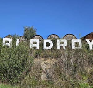Le printemps de Caladroy - Pézilla-la-Rivière - 2