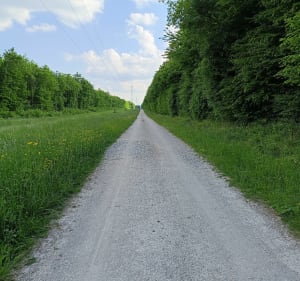 Autour de Farges-lès-Chalon et Forêt du Chalonnais à vélo - Farges-lès-Chalon - 2