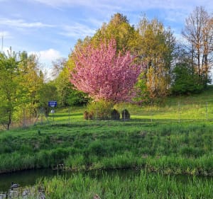 Koszalin-Manowo-Koszalin - Koszalin - 2