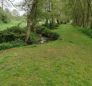 Le long du Bordel à Fontenay - Fontenay-le-Pesnel - 2