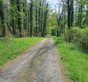 Le relais Aspois entre routes et chemins par Boumayou - Agnos - 5