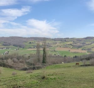 Boucle autour de la chapelle Saint-Roch et Forêt de Bourdogne - Crépol - 2