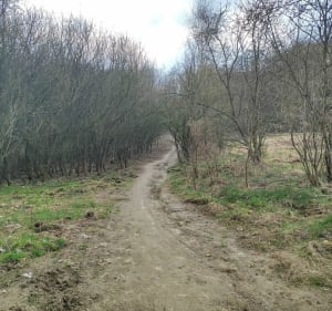 Spacer przez Panieńskie Skały - Kraków - 2