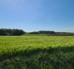 Balade pédestre Néville - Néville - 2