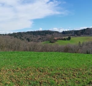 Chemin des crêtes, par Fréchède - Mazerolles - 2